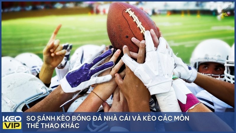 Kèo Bóng Đá Nhà Cái – Tất Tần Tật Cách Vào Kèo Luôn Thắng 2025 4 Kèo nhà cái Bóng rổ (NBA), Kèo nhà cái Quần vợt (Tennis) hay Kèo nhà cái Thể thao điện tử (Esports) cũng thu hút lượng lớn người chơi
