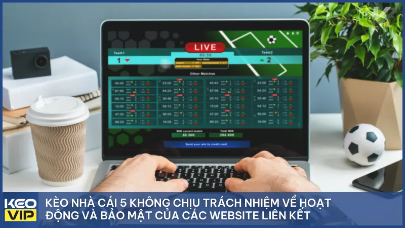 Miễn Trừ Trách Nhiệm 3 Mọi giao dịch với nhà cái thuộc trách nhiệm giữa người dùng và bên thứ ba