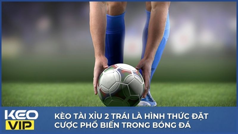 Kèo Tài Xỉu 2 Trái - Khám Phá Từ A-Z Kiến Thức Kèo Hữu Ích 1 Kèo tài xỉu 2 trái là hình thức đặt cược phổ biến trong bóng đá